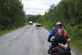 Wildwechsel auf norwegisch